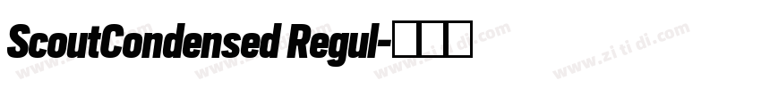 ScoutCondensed Regul字体转换